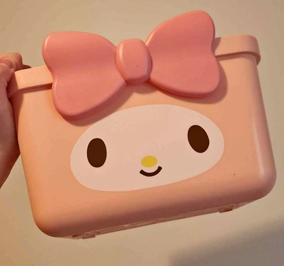 My Melody bin