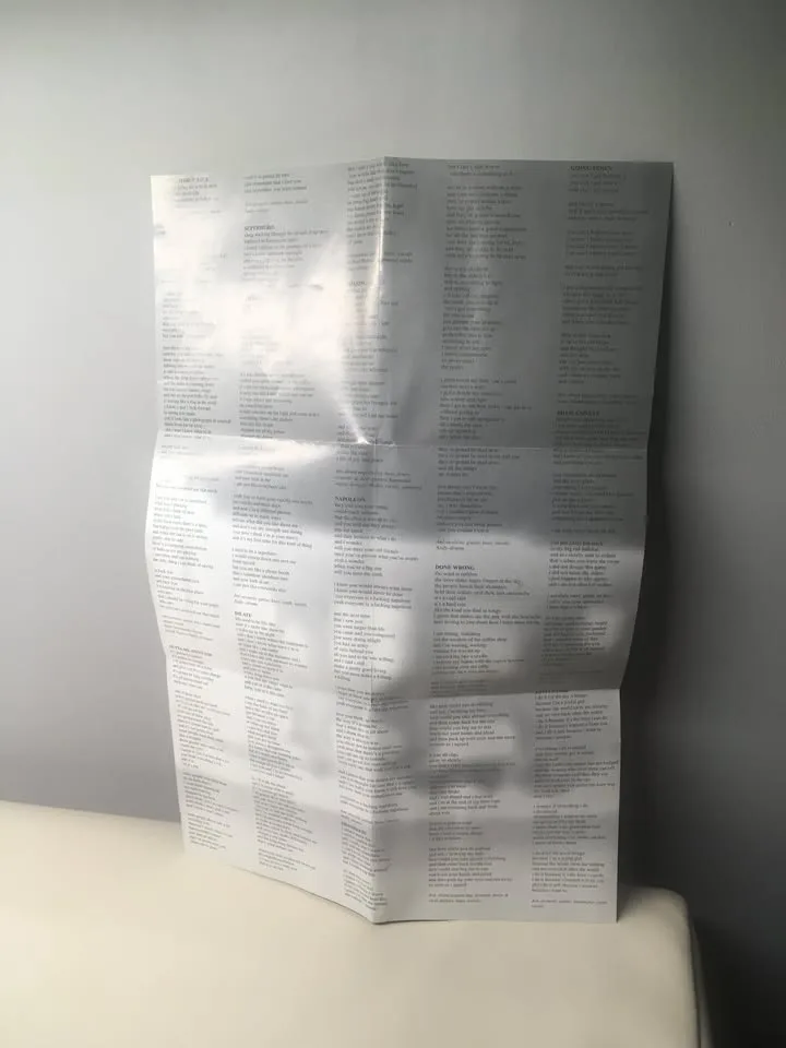 Ani Difranco - Dilate - CD With Lyric Sheet - Like New image indicator(5)