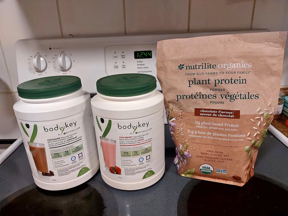 Nutrilite Protein Powder & Meal Replacement Shakes