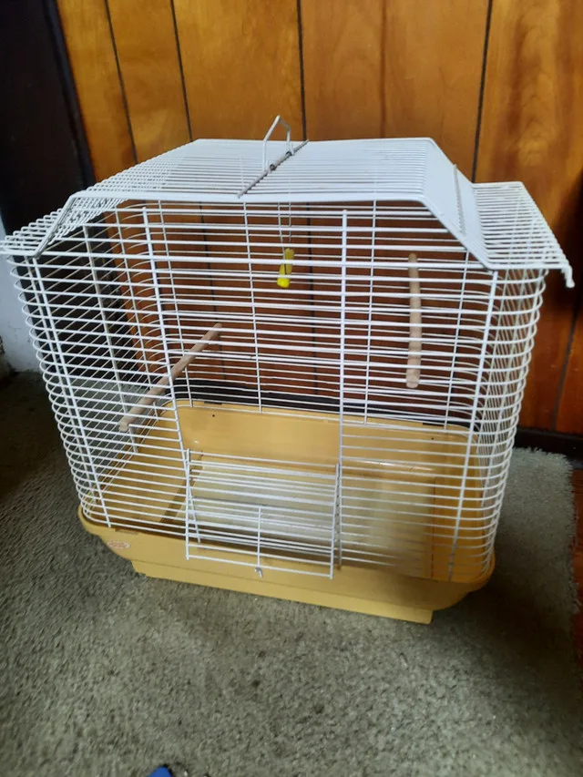 Bird cage thumbnail