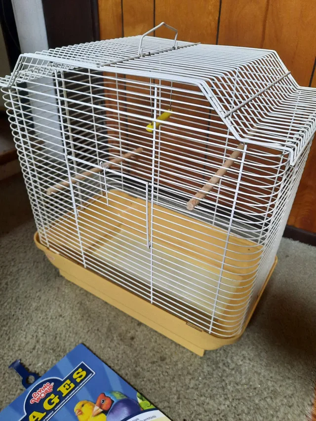 Bird cage image indicator(2)