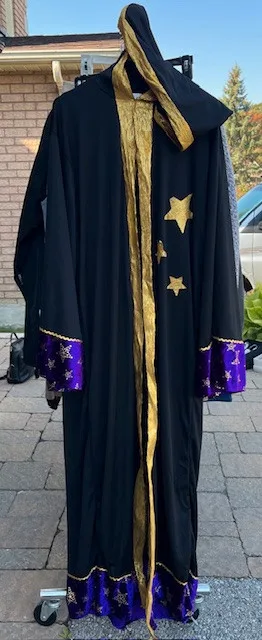 Halloween Costumes image indicator(2)