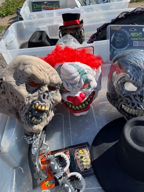 Halloween Costumes image indicator(3)