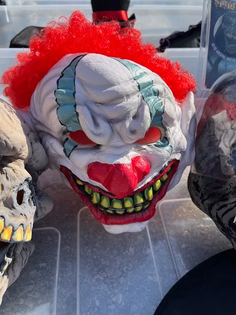 Halloween Costumes image indicator(4)