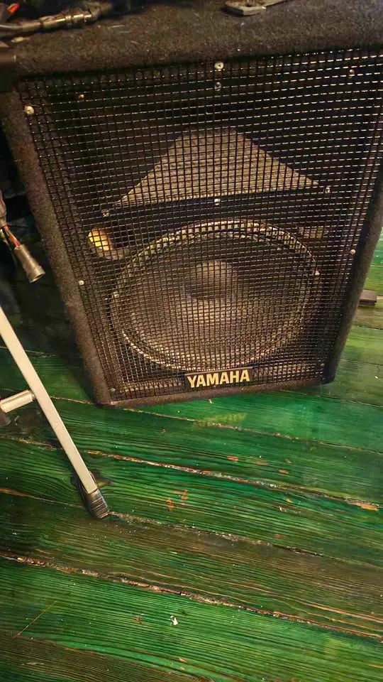 One Yamaha pa speaker S12E