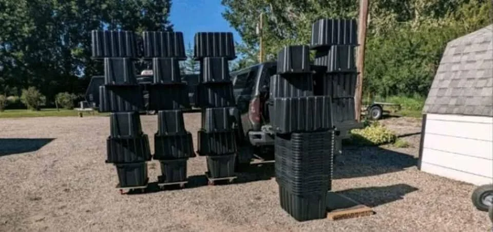 Need Cardboard moving boxes? Rent Moving bins instead. image indicator(3)