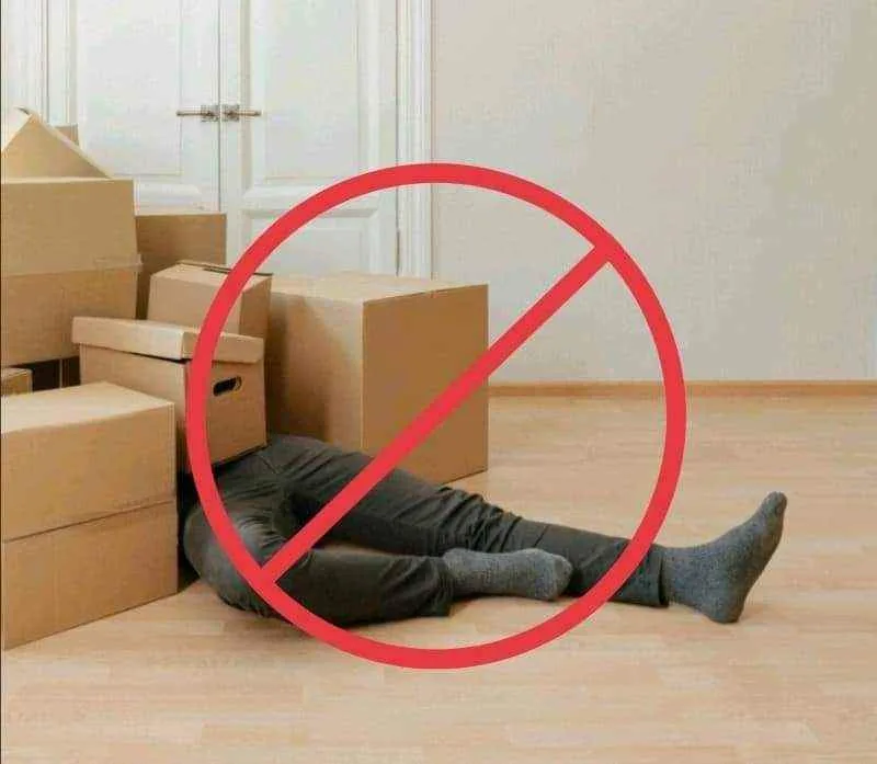 Need Cardboard moving boxes? Rent Moving bins instead. image indicator(6)