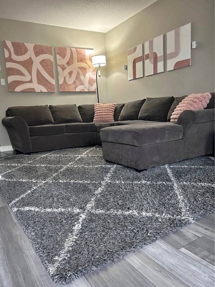Area rug 8x10