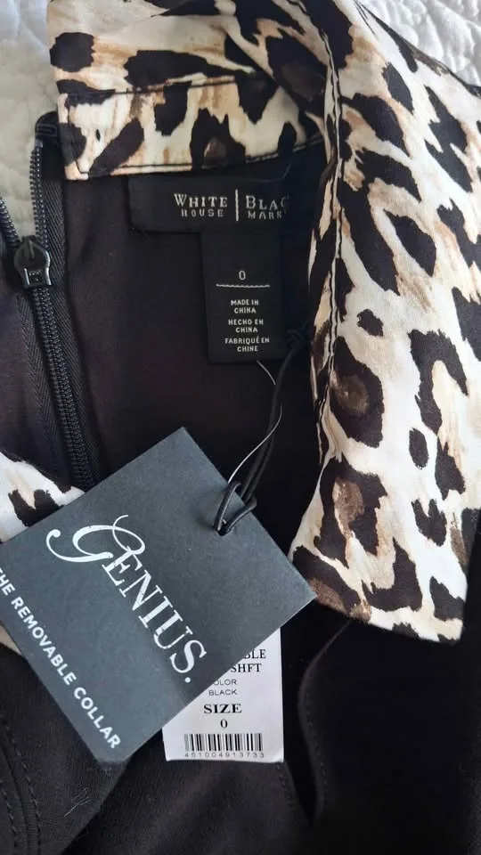 Black Dress with Removable Collar image indicator(2)