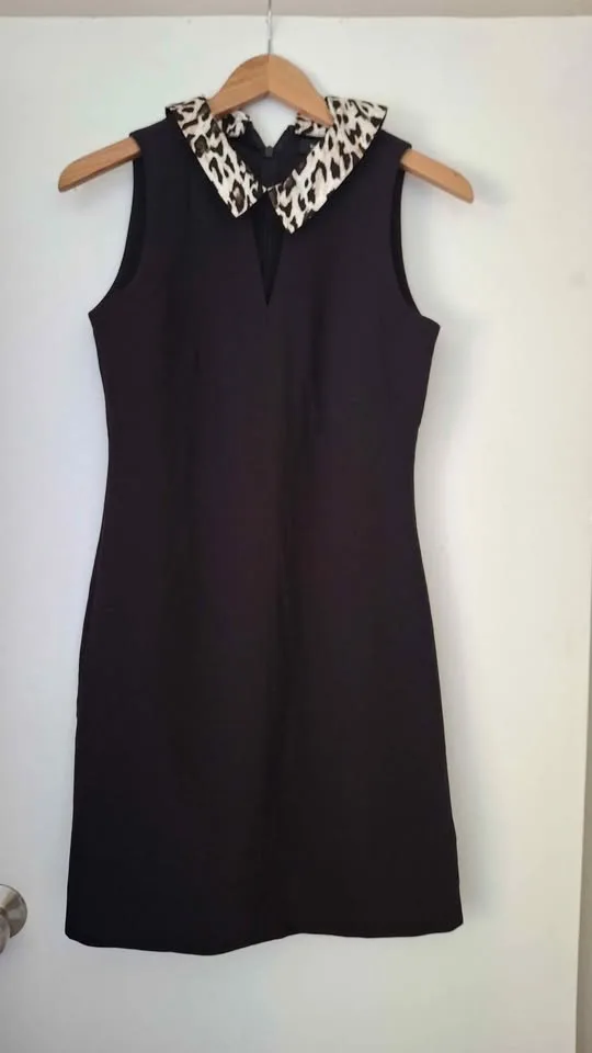 Black Dress with Removable Collar image indicator(3)