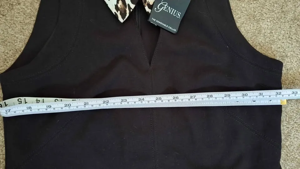 Black Dress with Removable Collar image indicator(6)