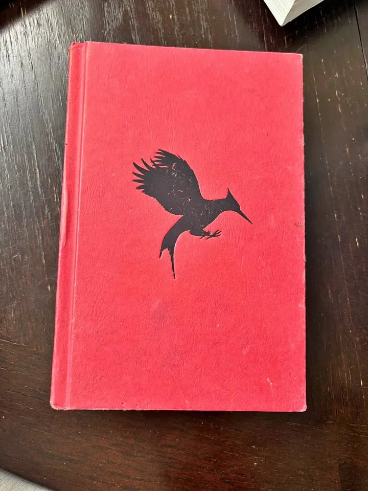 Hunger Games Catching Fire book thumbnail