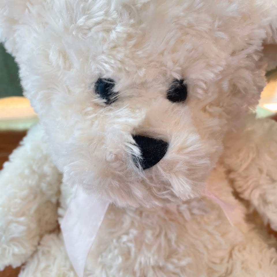 12" Canadian Cancer Society 2010 Bear Pink Ribbon - photo 3
