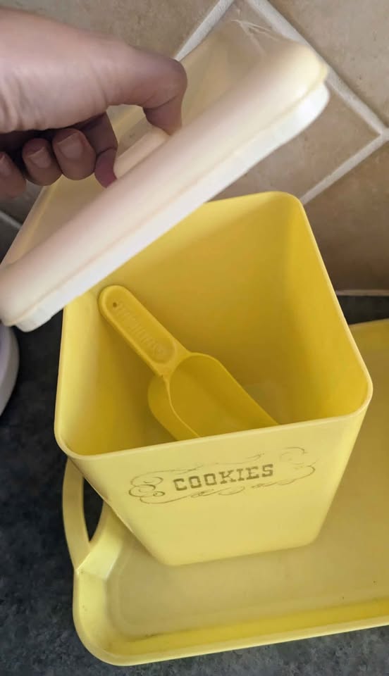 Vintage Yellow Cookies Canister & Lustro-Ware cake cover - photo 2