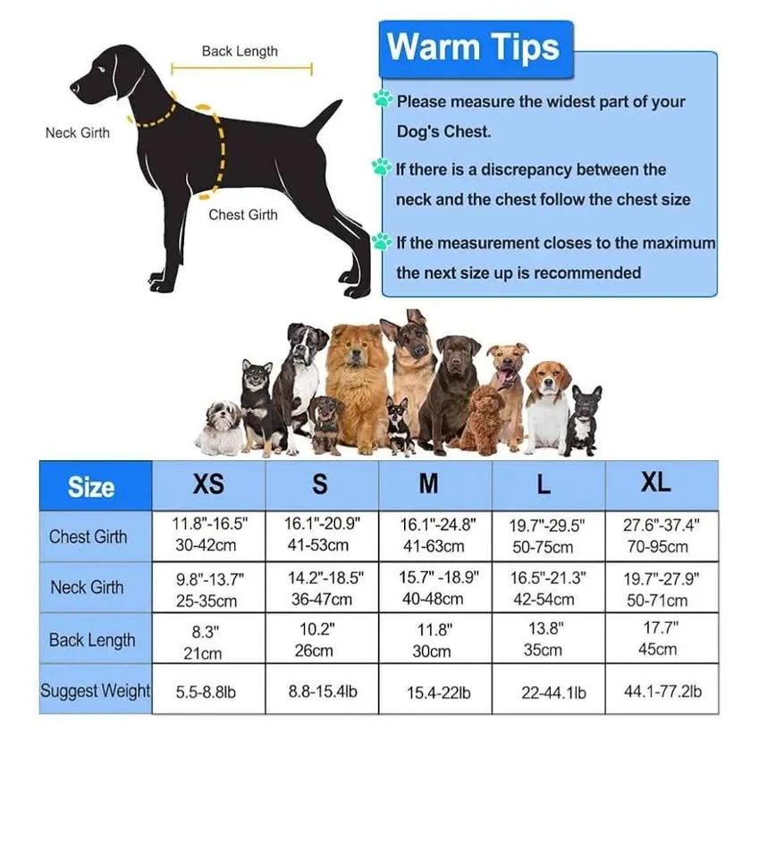 Puppy/dog lifejacket image indicator(4)