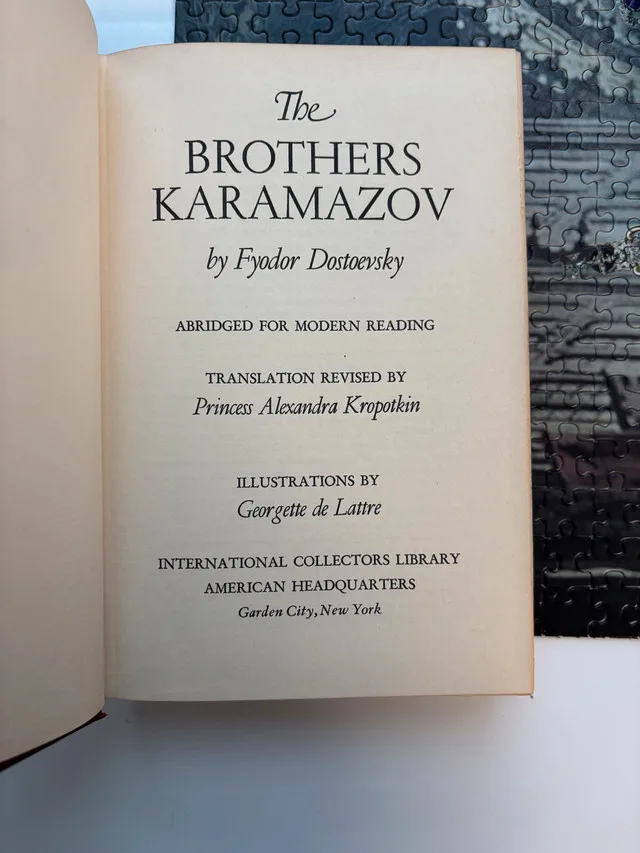 The Brothers Karamazov by Fyador Dostoevsky image indicator(3)