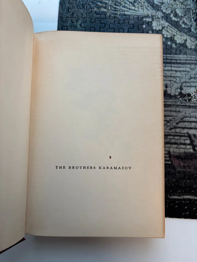 The Brothers Karamazov by Fyador Dostoevsky image indicator(8)
