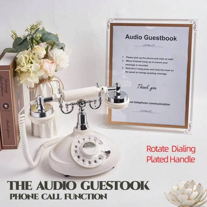 Audio Guestbook Recording Telephone Rental image indicator(2)