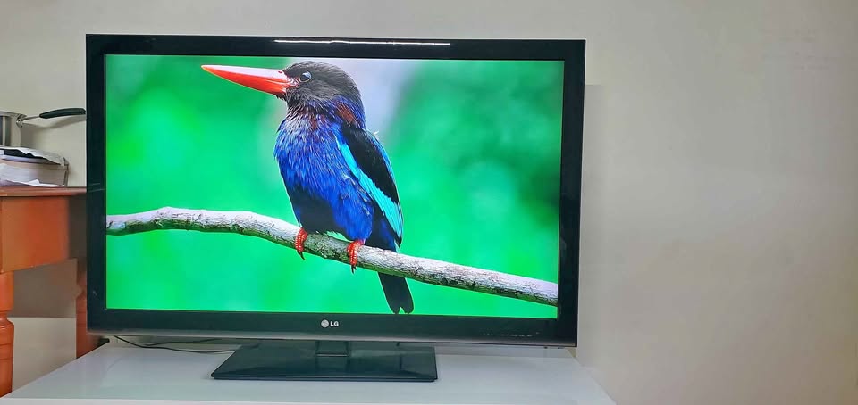 LG 47” Full HD LCD TV (Model: 47LK450)