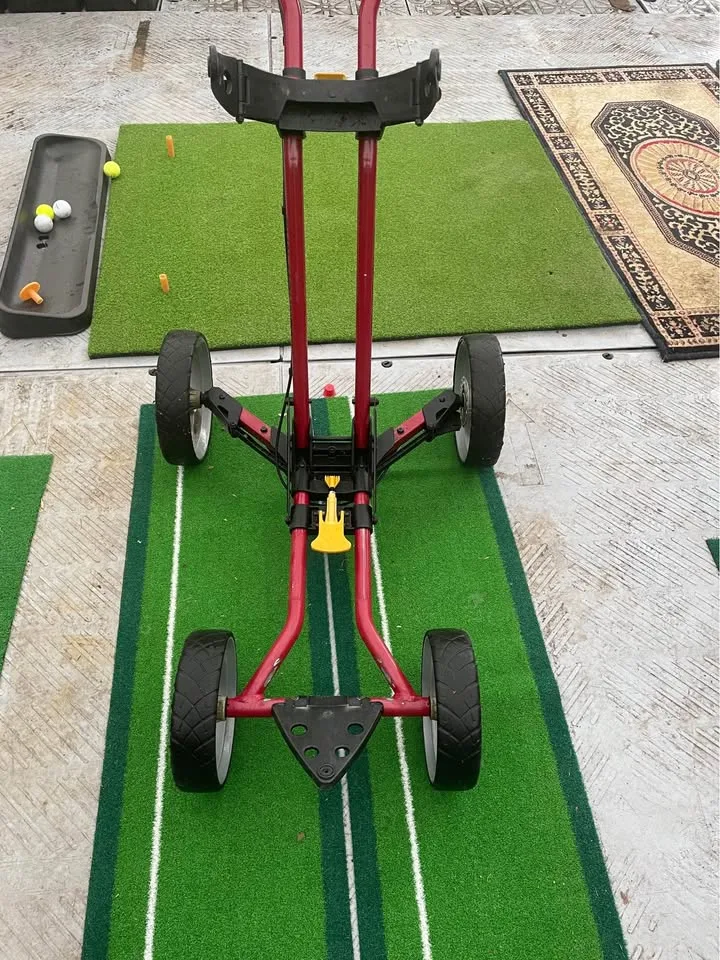 4-wheel golf cart image indicator(2)