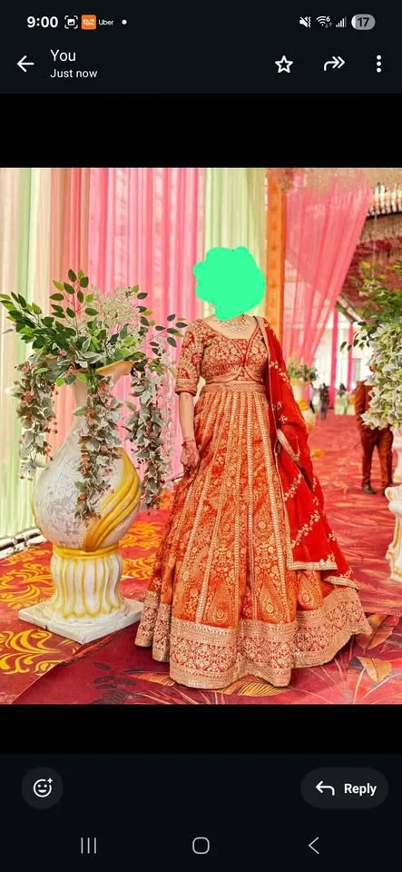 Reception lehnga image indicator(3)