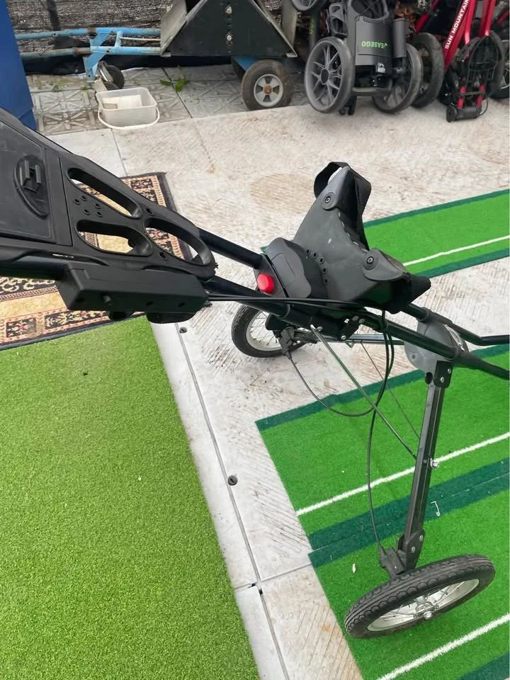 Golf bag cart image indicator(4)