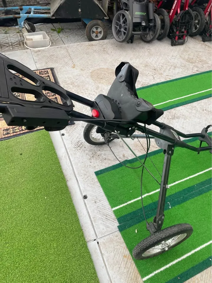 Golf bag cart image indicator(5)