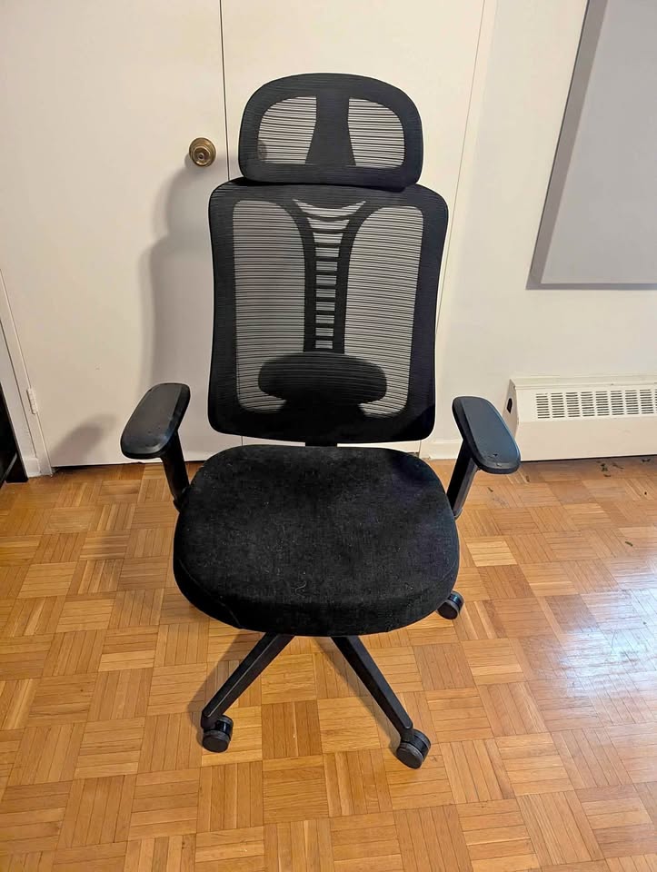 Ergonomic Office Chair