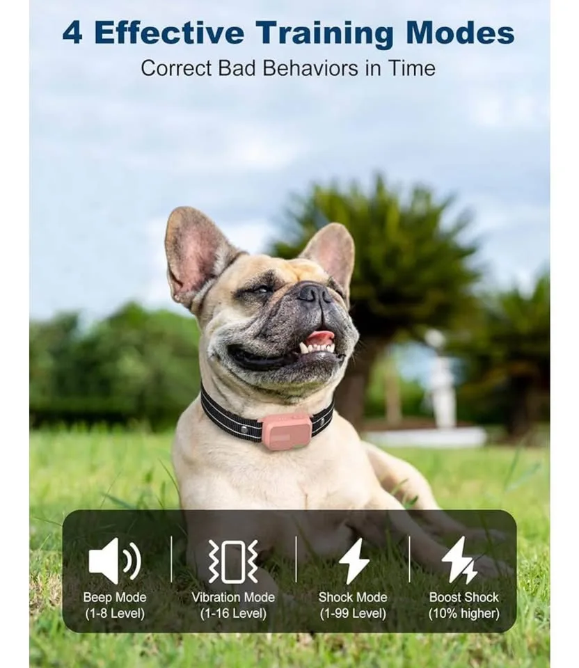 Dog training product image indicator(2)