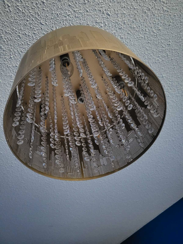Light Fixture - Ceiling Mount, City Scape - photo 3