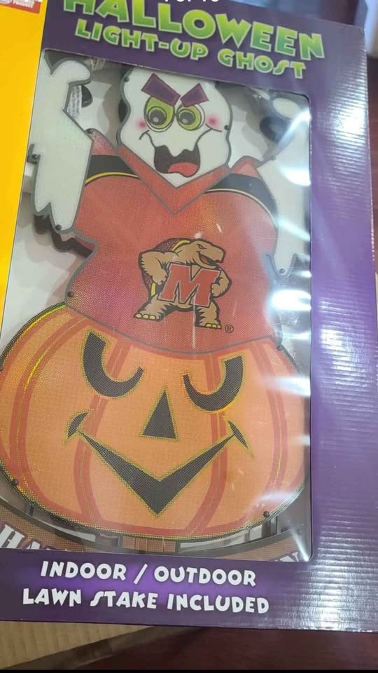 Halloween Ghost - photo 3