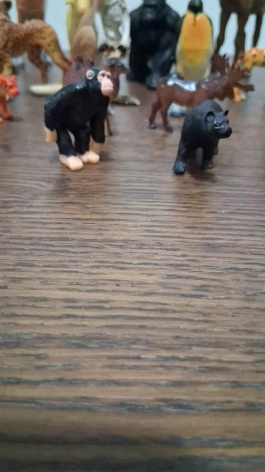 Lot of animals image indicator(5)