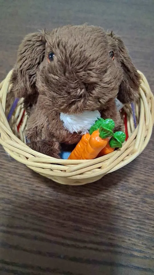 American Girl Julie's Pet Bunny Nutmeg for 18 thumbnail