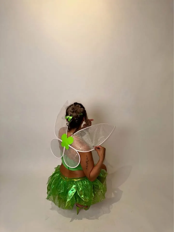 Tinker Bell costume full set with heels image indicator(3)