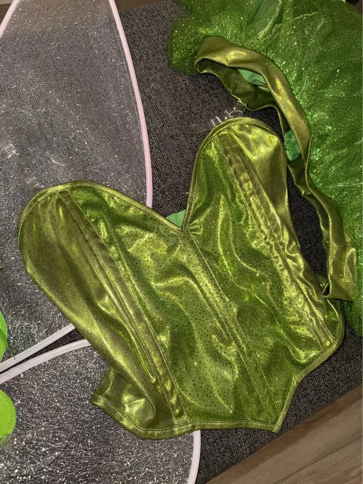 Tinker Bell costume full set with heels image indicator(4)