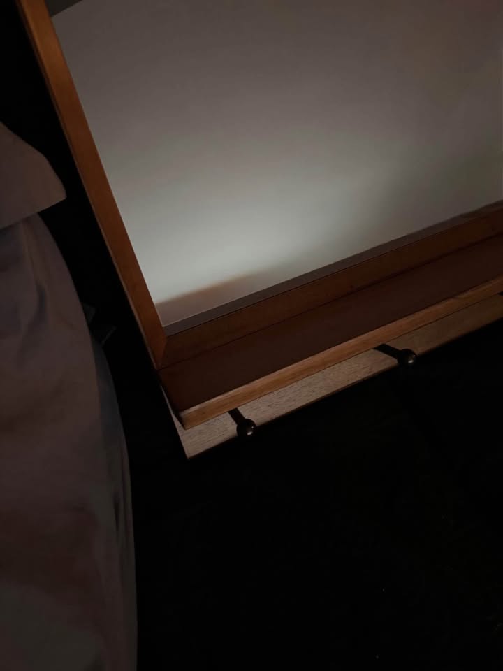 West Elm Mid Century Entryway Wall Mirror - photo 4