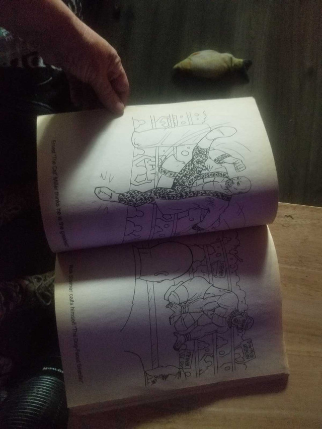 WCW Giant Colouring Book - photo 2