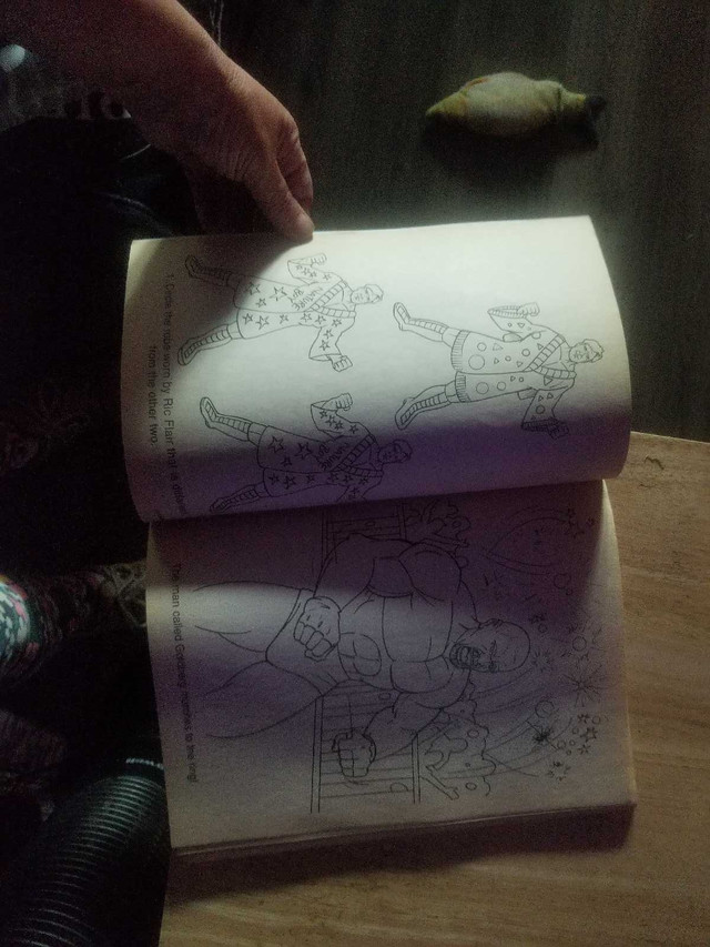 WCW Giant Colouring Book - photo 3