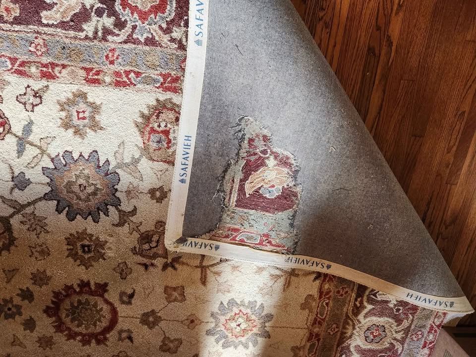 Free Safavieh Wool Area Rug 12' x 8.5' - photo 4