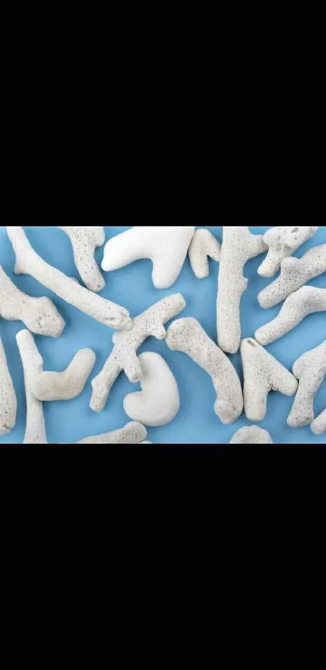 Medium coral fragments from the Philippines