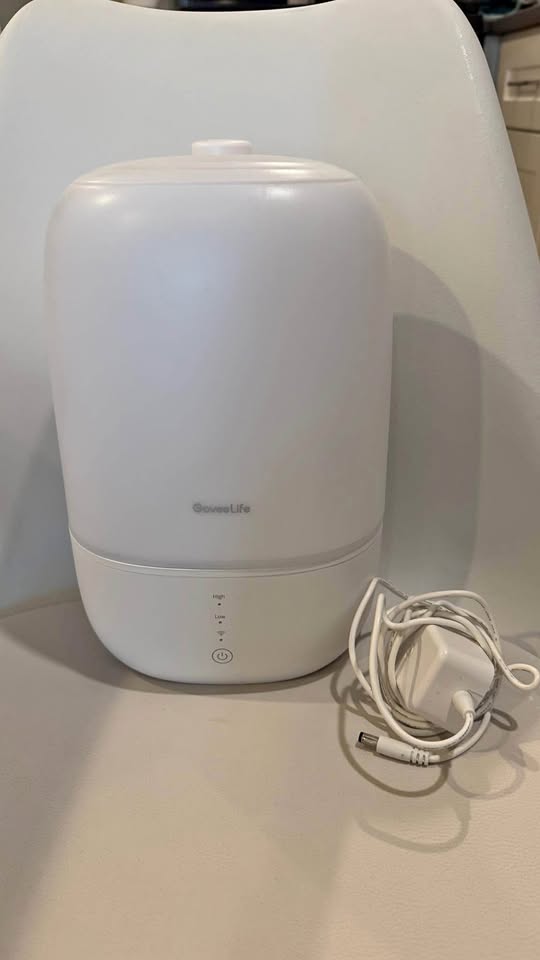 GoveeLife Smart Humidifiers 3L
