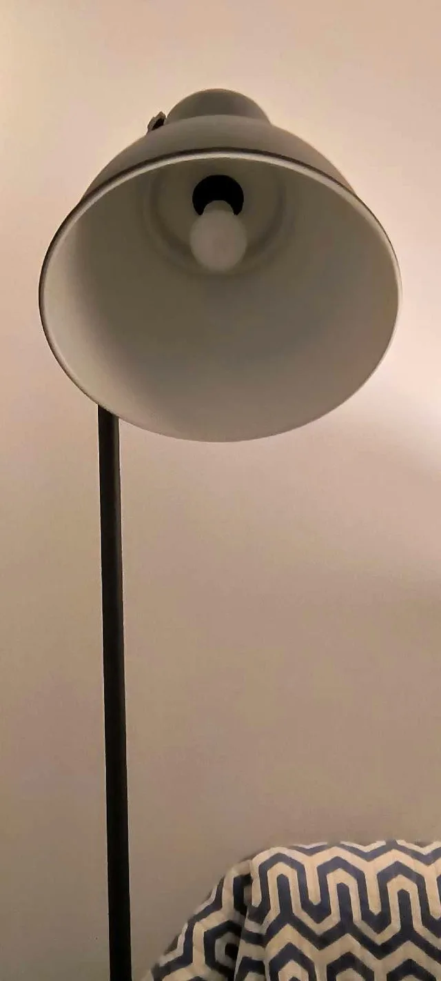 Hektar Floor Lamp image indicator(2)