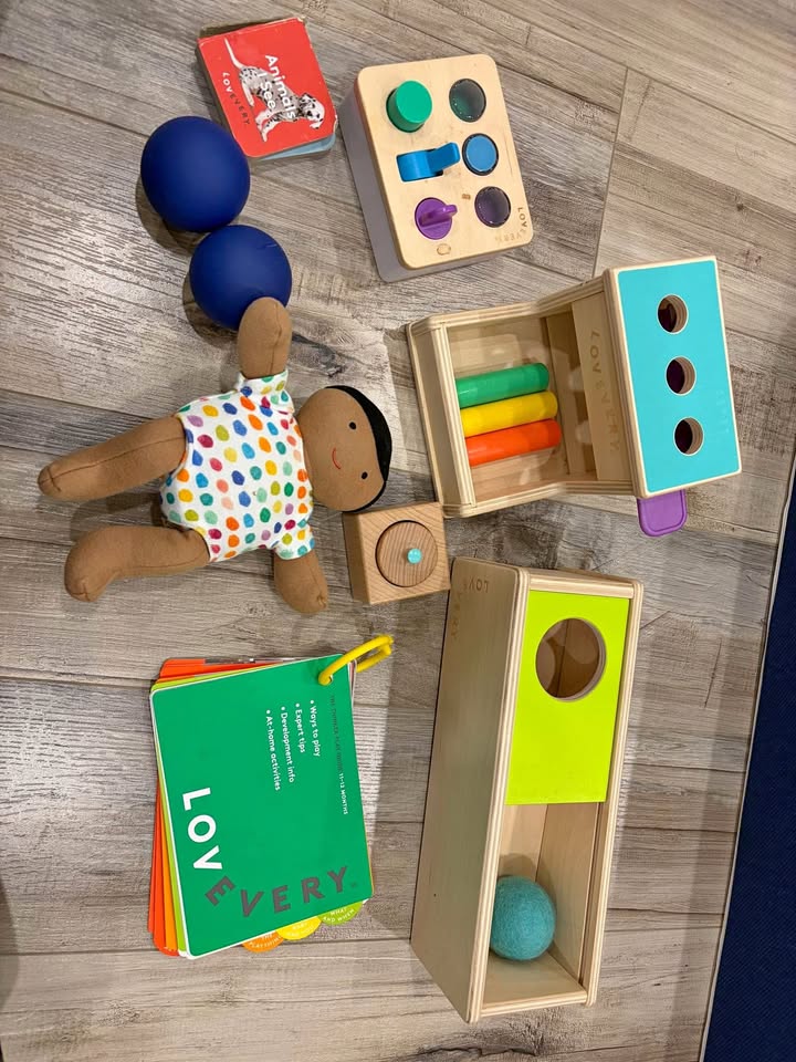 Lovevery THE THINKER playkit for 11,12 months