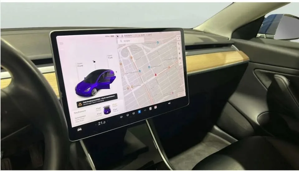 2019 Tesla Model 3 Standard Range Plus RWD image indicator(4)