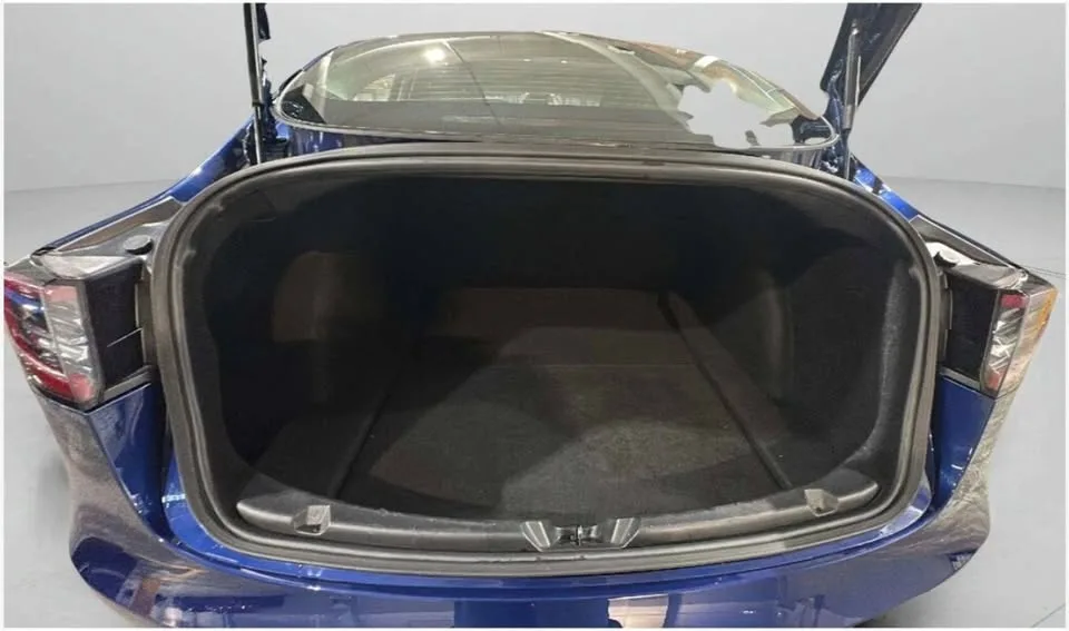 2019 Tesla Model 3 Standard Range Plus RWD image indicator(6)