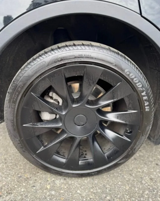 2023 Tesla Model Y Long Range image indicator(3)