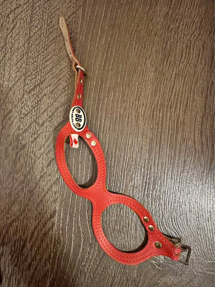 Handmade Leather Dog Collar – BB Brand (Made in Canada) - Small