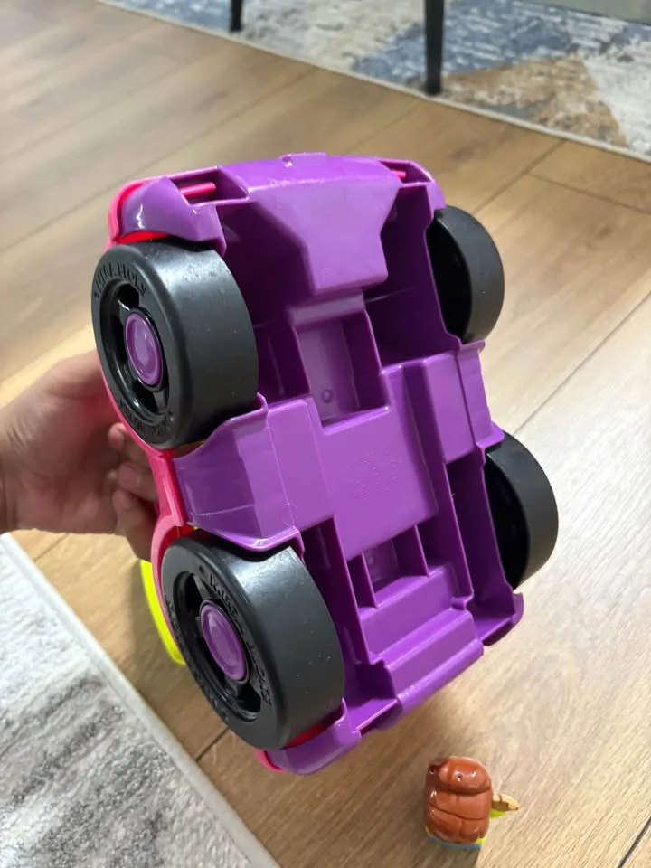 Car with detachable person and roof image indicator(4)