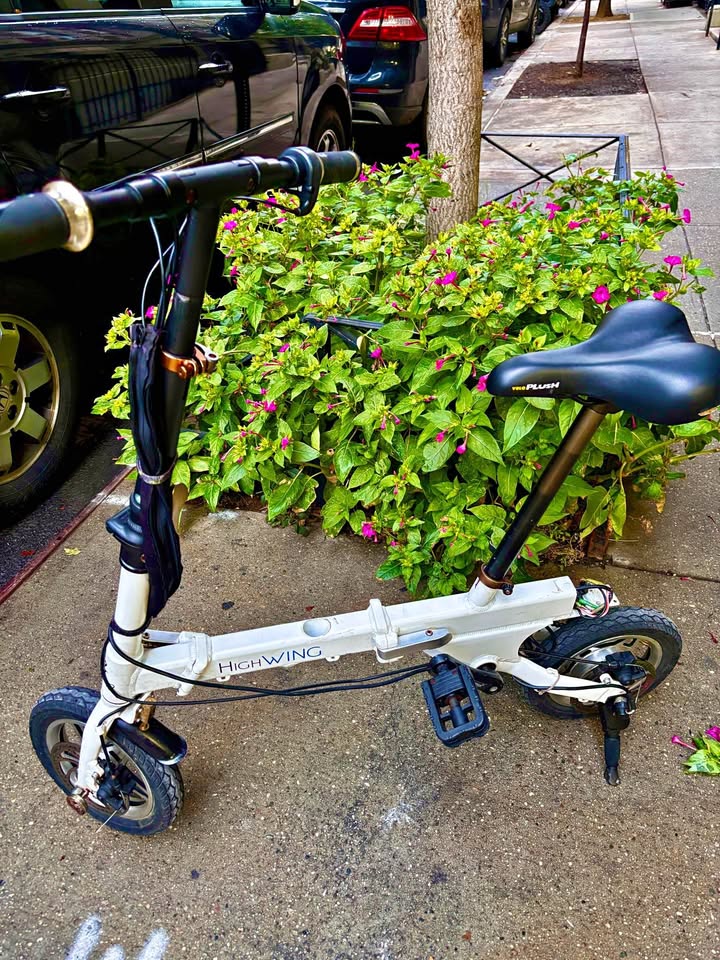 SMALL Folding Bike (ebike, no battery)- Clean, Oiled