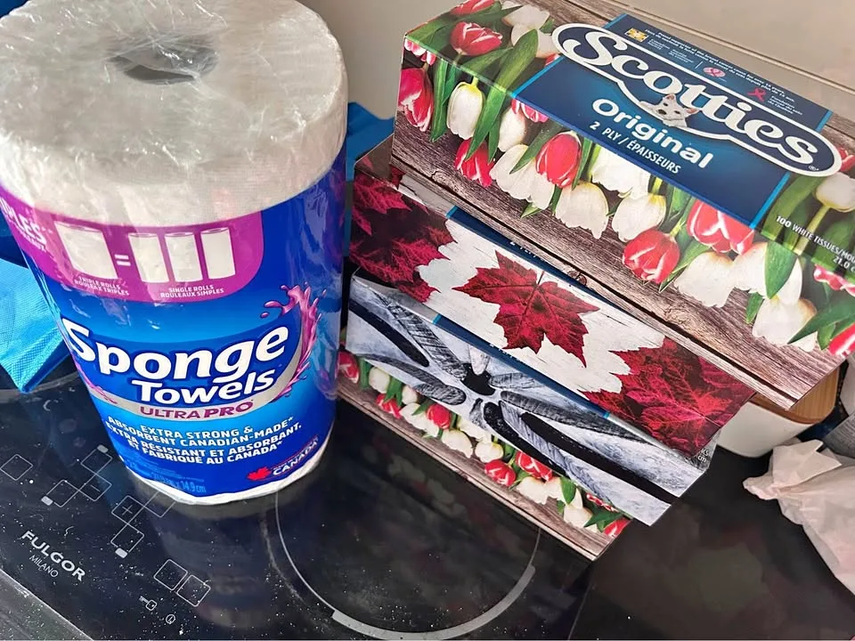 Sponge Towels Ultra Pro & Scotties Original 2-ply thumbnail